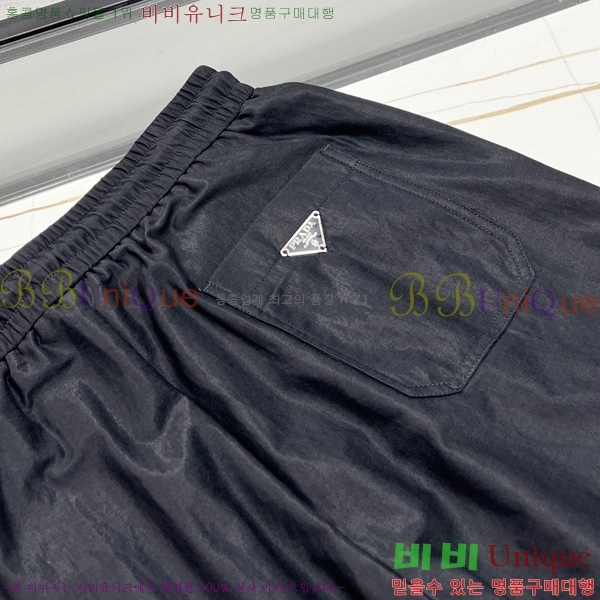    P9175303